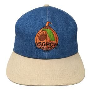 Vintage Asgrow Seeds Trucker Hat Multicolor Denim Embroidered Logo USA